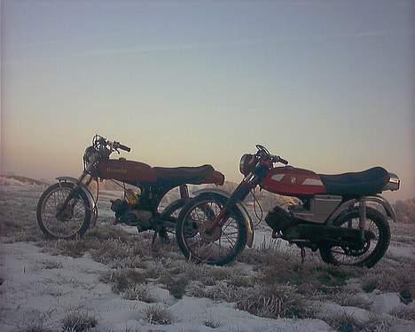 Puch monza billede 13