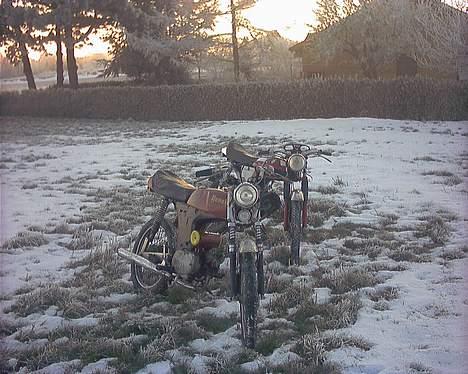 Puch monza billede 14