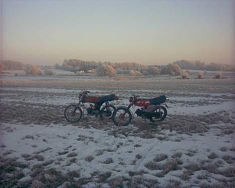 Puch monza billede 16