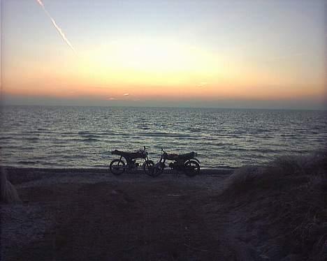 Puch monza billede 19