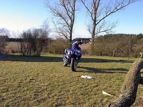 CPI Oli EVO*-<Team BaB-LøG>-  billede 12