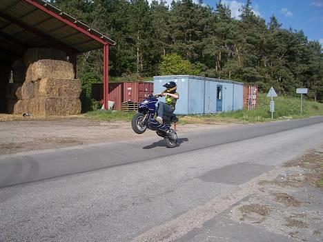 CPI Oli EVO*-<Team BaB-LøG>-  billede 13