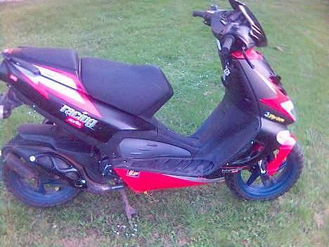 Aprilia Dietch ( SOLGT ) billede 1