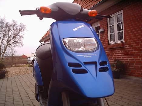 Piaggio typhoon TILSALG - Fronten billede 2