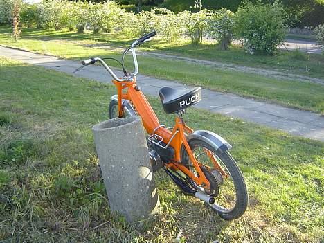 Puch Maxi K >Solgt< billede 6