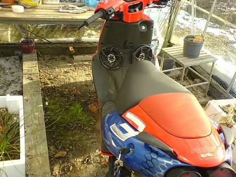 Aprilia Ditech Spider SOLGT billede 5