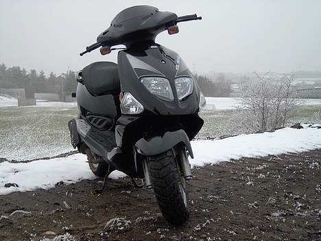 PGO Dr.Big sælges billede 4