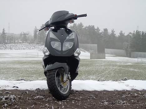 PGO Dr.Big sælges billede 5