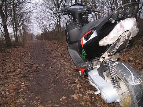 Aprilia Sonic - Damn! Brugte to timer på at vakse den :/ billede 13