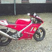 Cagiva Mito *SOLGT*