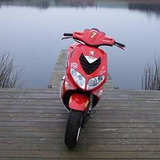 Peugeot 307 Speedfight 2 (solgt)