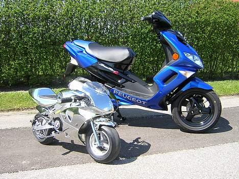 MiniBike Pocketbike 49 ccm Black billede 15