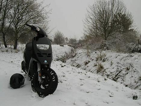 Piaggio Typhoon ..:Stjålet:.. - Vinter-billed billede 1
