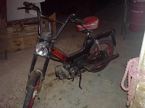Puch macho (byttet) billede 1