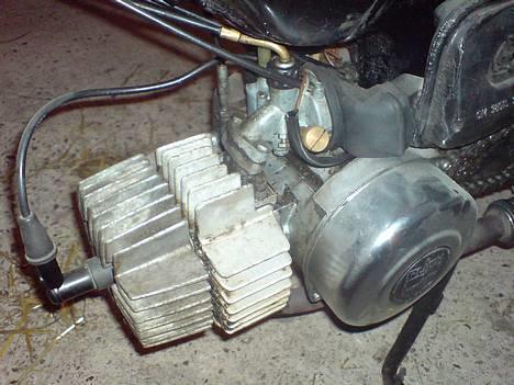 Puch macho (byttet) billede 3