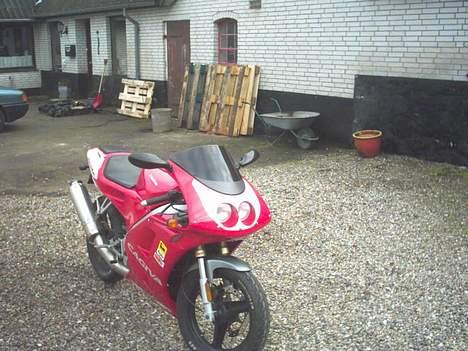 Cagiva Mito *SOLGT* billede 2