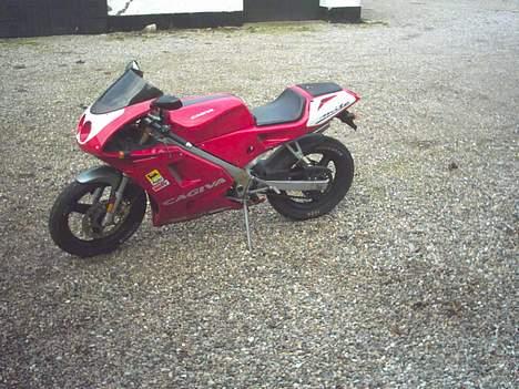 Cagiva Mito *SOLGT* billede 4