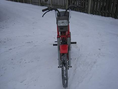 Puch maxi p1 billede 7