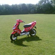 Peugeot speedfight 307 [SOLGT]