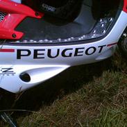 Peugeot speedfight 307 [SOLGT]