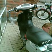 PGO Hot 50 SOLGT