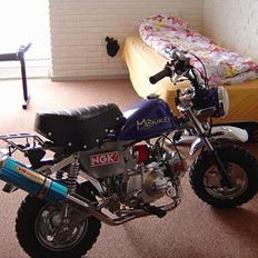 Honda Skyteam Monkey