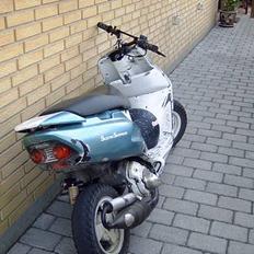 Honda ~<(S F X)>~ 2tal skadet 