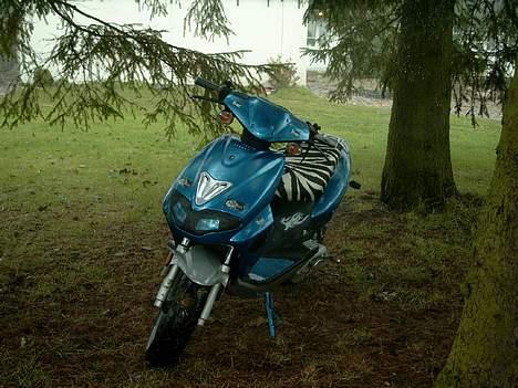 CPI hussar (DR racing parts) billede 16