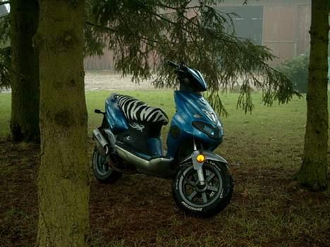 CPI hussar (DR racing parts) billede 17