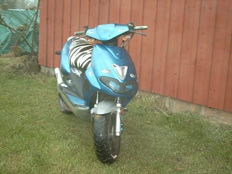 CPI hussar (DR racing parts) billede 18