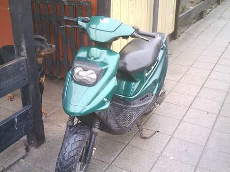 PGO hot 50 (solgt) billede 10