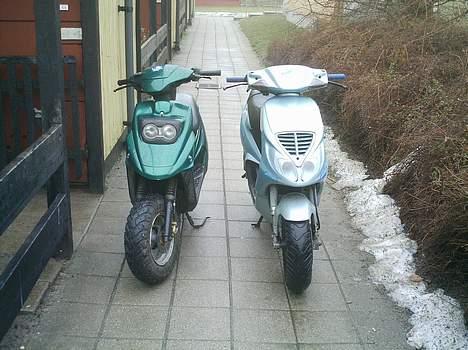 PGO hot 50 (solgt) - ja her stå den så sammen med nrgen :) billede 12