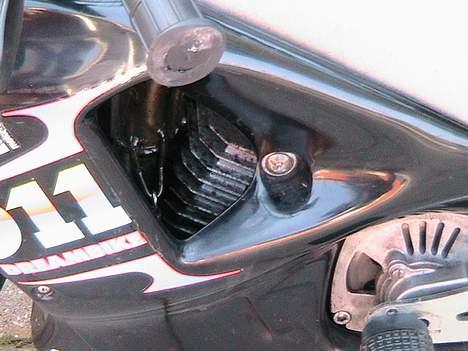 MiniBike Polini Dreambike til salg billede 3