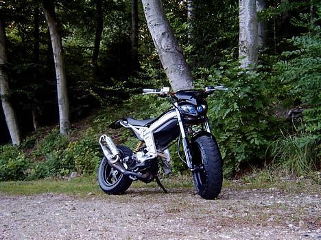 Suzuki Street Magic  - <3 billede 5