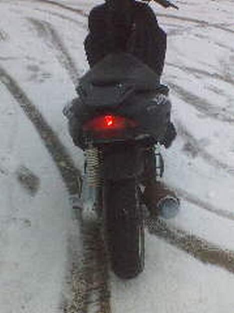 CPI hussar solgt billede 5