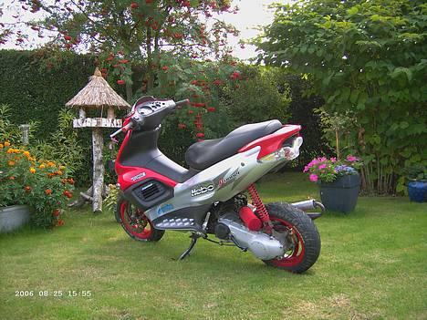 Gilera Runner AC!! TIL SALG - Der står hun klar til als træf 2006 billede 3