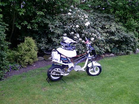 Yamaha Jog LC-LYHNET- solgt billede 2