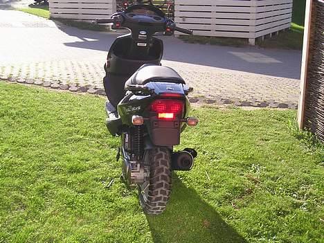 PGO Dr. Big billede 2