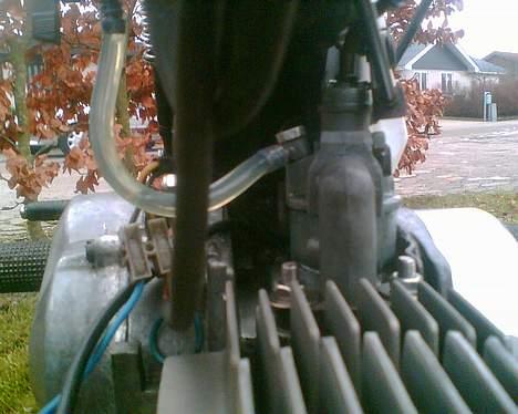 Puch Maxi KL billede 8