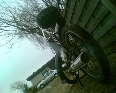 Puch Maxi KL billede 13