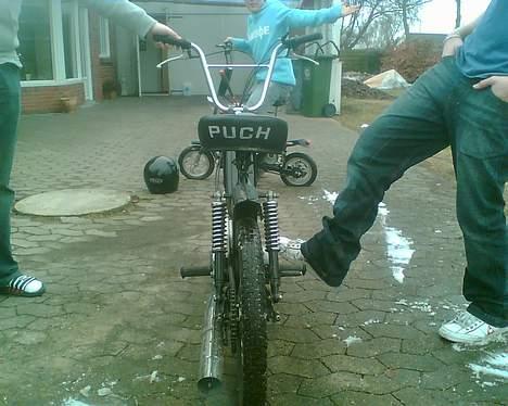 Puch Maxi KL - God røv ;b billede 16