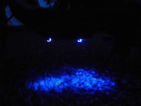 Honda sfx repsol Solgt - de kommer også i grønne men bare neon!!!!! billede 8