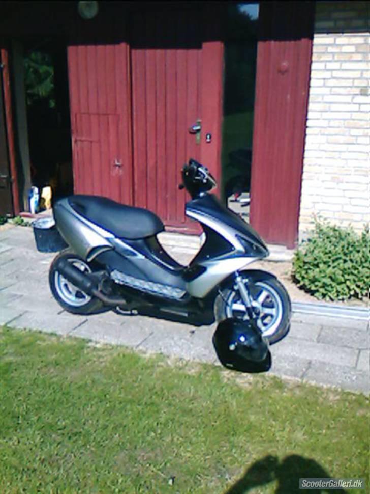 Benelli 491st  billede 1