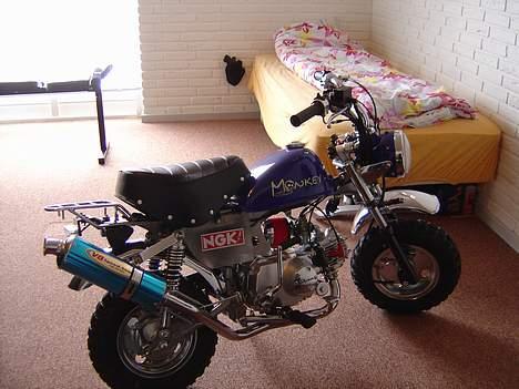 Honda Skyteam Monkey billede 1