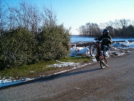 Puch Maxi 2 gears "FØR" billede 1