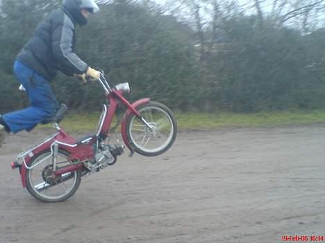 Puch Maxi 2 gears "FØR" billede 7