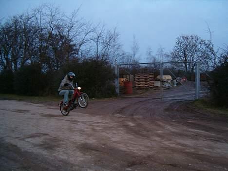 Puch Maxi 2 gears "FØR" billede 8