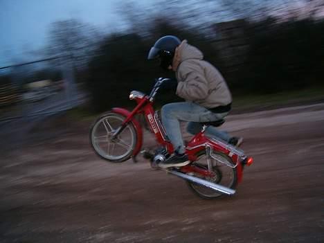 Puch Maxi 2 gears "FØR" billede 9