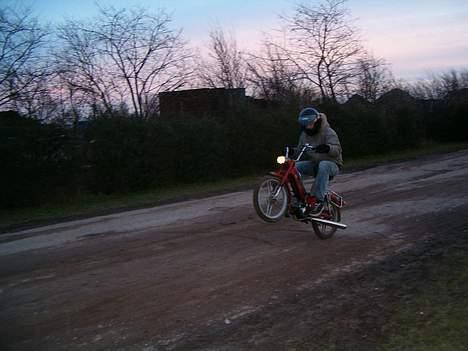 Puch Maxi 2 gears "FØR" billede 12
