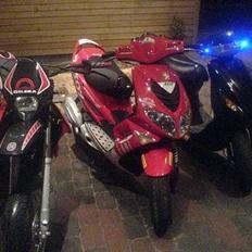 Kreidler Easy Rider (Solgt)